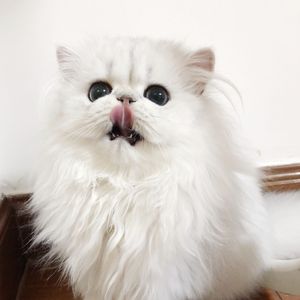 阳泉妇科哪个医院好
