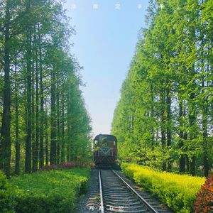 阳泉妇科哪个医院好
